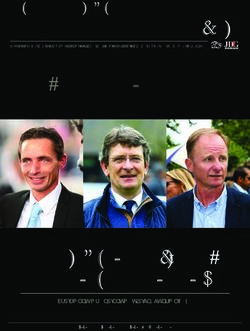 Purebred arabian the French - Jour de Galop