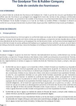 The Goodyear Tire & Rubber Company Code de conduite des fournisseurs