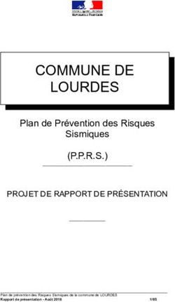 COMMUNE DE LOURDES Plan de Prévention des Risques Sismiques - Préfecture des Hautes ...