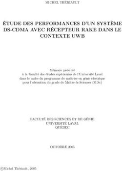 ÉTUDE DES PERFORMANCES D'UN SYSTÈME DS-CDMA AVEC RÉCEPTEUR RAKE DANS LE CONTEXTE UWB