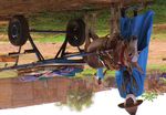 Programmes multisectoriels au niveau infranational : Une &eacute;tude de cas dans les r&eacute;gions de Matam et K&eacute;dougou, au S&eacute;n&eacute;gal