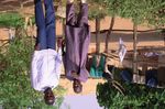 Programmes multisectoriels au niveau infranational : Une &eacute;tude de cas dans les r&eacute;gions de Matam et K&eacute;dougou, au S&eacute;n&eacute;gal