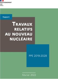 Travaux relaTifs au nouveau nucl&eacute;aire - PPE 2019-2028 - Minist&egrave;re de la ...