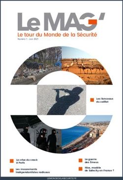 Le tour du Monde de la S&eacute;curit&eacute; - Les lionceaux du califat - Le Monde de la S&eacute;curit&eacute;