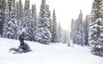 MOTONEIGES 2021 - Polaris Snowmobiles