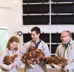 RAPPORT DE D&Eacute;VELOPPEMENT DURABLE 2018 - La Coop f&eacute;d&eacute;r&eacute;e