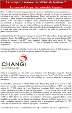Les a&eacute;roports, nouveaux territoires du tourisme ?