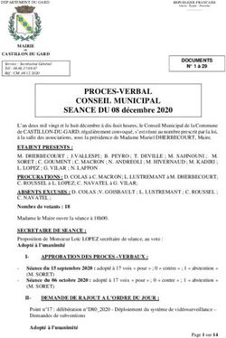 PROCES-VERBAL CONSEIL MUNICIPAL - SEANCE DU 08 décembre 2020 - Mairie de Castillon du Gard