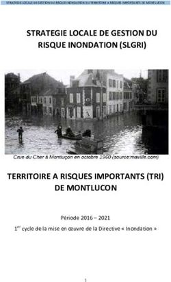 STRATEGIE LOCALE DE GESTION DU RISQUE INONDATION (SLGRI) - SAGE Cher Amont