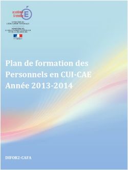 Plan de formation des Personnels en CUI-CAE Année 2013-2014 - DIFOR2-CAFA