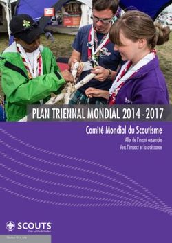 PLAN TRIENNAL MONDIAL 2014 2017 - Comité Mondial du Scoutisme Aller de l'avant ensemble Vers l'impact et la croissance