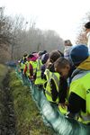 Bilan 2020 du barrage temporaire pour amphibiens - Conservatoire d'espaces naturels de Picardie