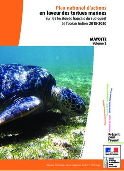 Plan national d'actions en faveur des tortues marines - sur les territoires fran&ccedil;ais du sud-ouest de l'oc&eacute;an Indien 2015-2020