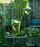 Catalogue Général Cuves de stockage en polyéthylène pour utilisations individuelles et collectives - Rikutec France