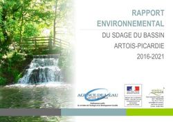 RAPPORT ENVIRONNEMENTAL - DU SDAGE DU BASSIN ARTOIS-PICARDIE 2016-2021 - Consultation sur l'eau Bassin ...