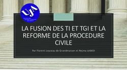LA FUSION DES TI ET TGI ET LA REFORME DE LA PROCEDURE CIVILE - Par Florent Loyseau de Grandmaison et Nejma LABIDI - UJA