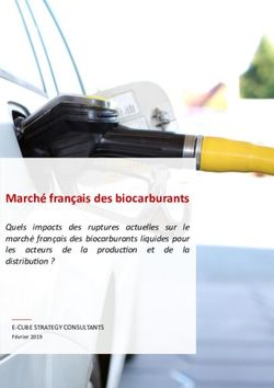 March&eacute; fran&ccedil;ais des biocarburants - Quels le march&eacute; fran&ccedil;ais des biocarburants liquides pour les acteurs de la distribution ?? impacts des ...