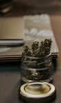 LEADING THE CANNABIS REVOLUTION IN EUROPE