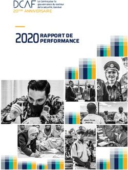 2020 RAPPORT DE PERFORMANCE - DCAF