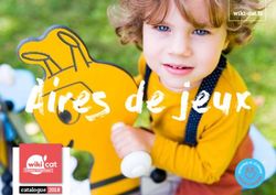 Catalogue 2018 - Distri Buggy