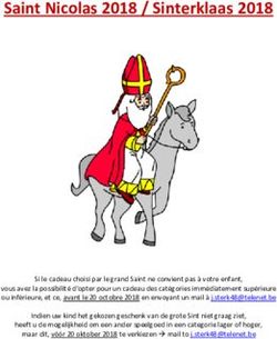 Saint Nicolas 2018 / Sinterklaas 2018