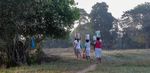 Les impacts des plantations industrielles de palmier &agrave; huile sur les femmes - Une collection d informations