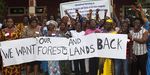 Les impacts des plantations industrielles de palmier &agrave; huile sur les femmes - Une collection d informations