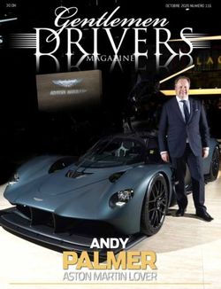 PALMER ANDY ASTON MARTIN LOVER - Gentlemen Drivers Magazine