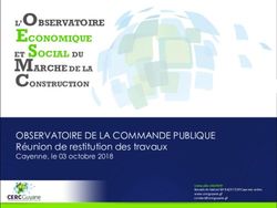 L'OBSERVATOIRE ECONOMIQUE ET SOCIAL DU MARCHE DE LA - CERC Guyane