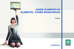 GUIDE PLUMITIFS ET PLUMITIFS : COURS MUNICIPALES - soquij.qc.ca 3e édition