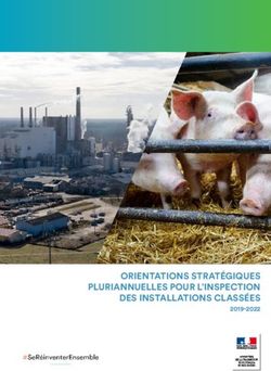 ORIENTATIONS STRATÉGIQUES PLURIANNUELLES POUR L'INSPECTION DES INSTALLATIONS CLASSÉES 2019-2022