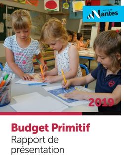 Budget Primitif Rapport de présentation 2019 - Ville de Nantes