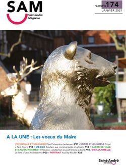 SAM - Ville de Saint-Andr&eacute;