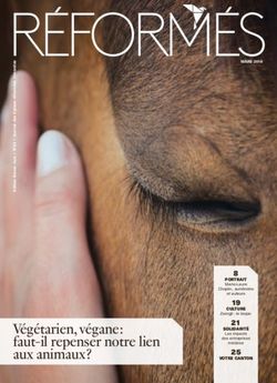 V&eacute;g&eacute;tarien, v&eacute;gane : faut-il repenser notre lien aux animaux ? - R&eacute;form&eacute;s.ch