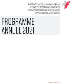 PROGRAMME ANNUEL 2021 - EIDGENÖSSISCHE FINANZKONTROLLE CONTRÔLE FÉDÉRAL DES FINANCES CONTROLLO FEDERALE DELLE FINANZE SWISS FEDERAL AUDIT OFFICE ...