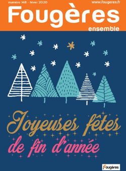 Joyeuses f&ecirc;tes de fin d'ann&eacute;e - Foug&egrave;res