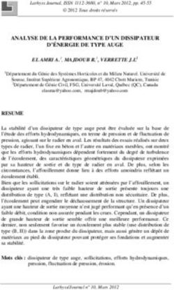 ANALYSE DE LA PERFORMANCE D'UN DISSIPATEUR D'&Eacute;NERGIE DE TYPE AUGE