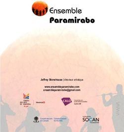 www.ensembleparamirabo.com - Jeffrey Stonehouse | directeur artistique - Ensemble Paramirabo