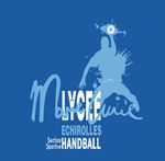 Ann&eacute;e 2018 - 2019 Dossier en vue d'une Section Scolaire Sportive candidature en - Comit&eacute; Is&egrave;re de Handball