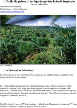 L'huile de palme : l'or liquide qui tue la forêt tropicale