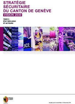 STRATÉGIE SÉCURITAIRE DU CANTON DE GENÈVE - VISION 2030 TOME 2 : ÉTAT DES LIEUX ET ACTEURS - Swissintell