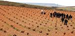 VINS ET VIGNOBLES D'ESPAGNE - 4 AU 14 MARS 2012 VOYAGE DE FORMATION