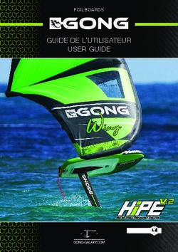 GUIDE DE L'UTILISATEUR USER GUIDE - FOILBOARDS - GONG GALAXY