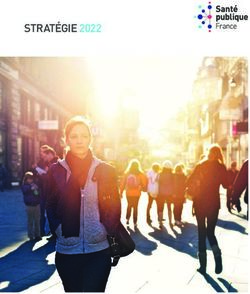 STRAT&Eacute;GIE 2022 - Sant&eacute; publique France