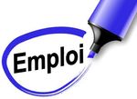GUIDE ET CONSEILS POUR TROUVER UN EMPLOI - Passerelle pour l ...