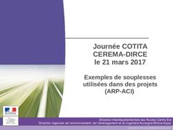 Journée COTITA CEREMA-DIRCE