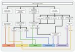 Un guide pratique, ainsi qu'un outil pour la planification, la r&eacute;alisation et l'&eacute;valuation d'exercices de simulation pour la pr&eacute;paration et ...