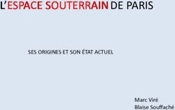L'ESPACE SOUTERRAIN SES ORIGINES ET SON ÉTAT ACTUEL - AFTES