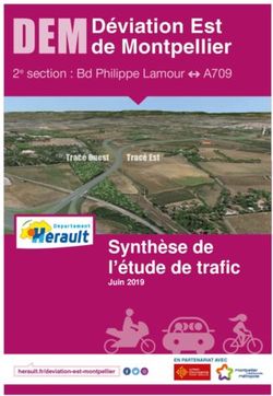 Synthèse de l'étude de trafic - Juin 2019 - DEM-Hérault