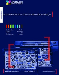 INT&Eacute;GRATEUR EN SOLUTIONS D'IMPRESSION NUM&Eacute;RIQUE - NUMERIQUE Alexandre Frezal - Alexandre Fr&eacute;zal Num&eacute;rique